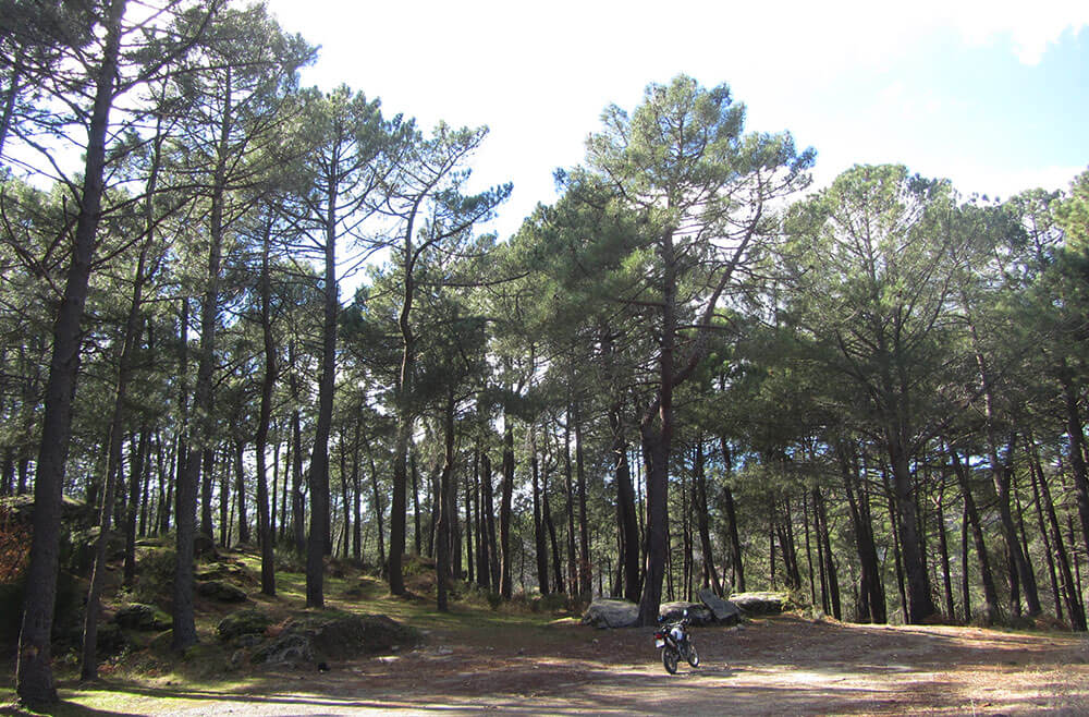 Moto trail en Casillas